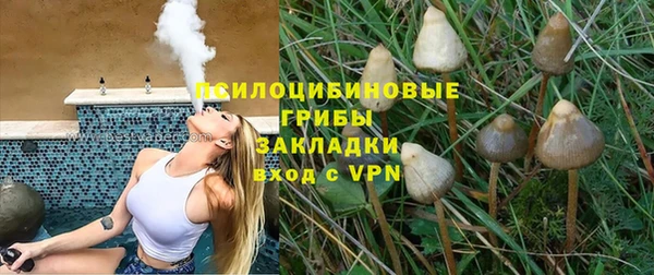 шишки Алзамай