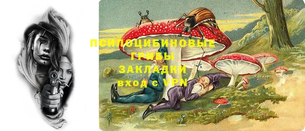 сатива Алексеевка